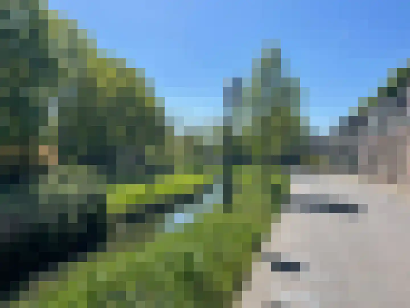 Singel 16 Wijk bij Duurstede foto 2