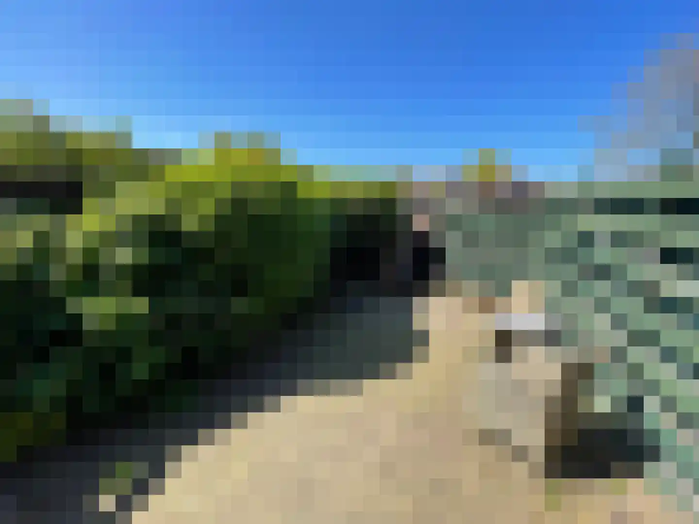 Singel 16 Wijk bij Duurstede thumbnail 20