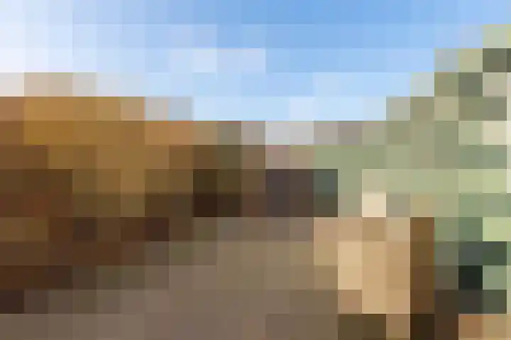 Singel 16 Wijk bij Duurstede thumbnail 21