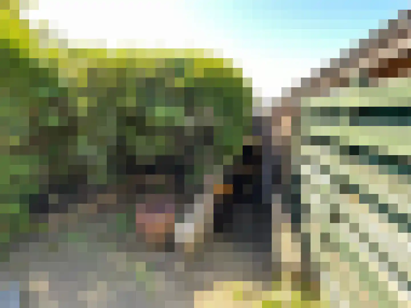 Singel 16 Wijk bij Duurstede thumbnail 21