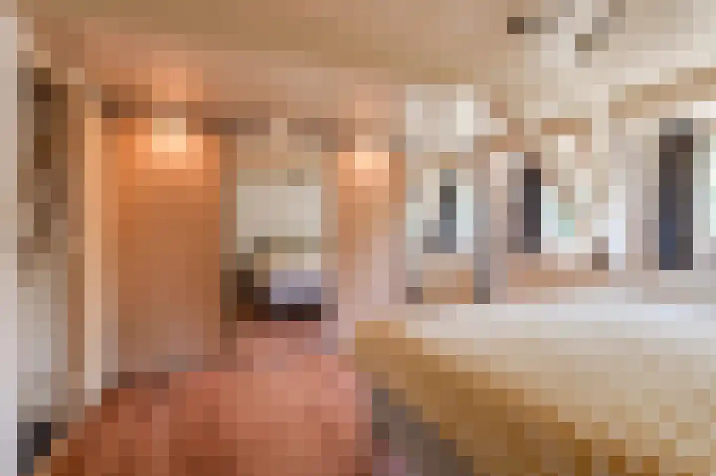Singel 16 Wijk bij Duurstede thumbnail 24