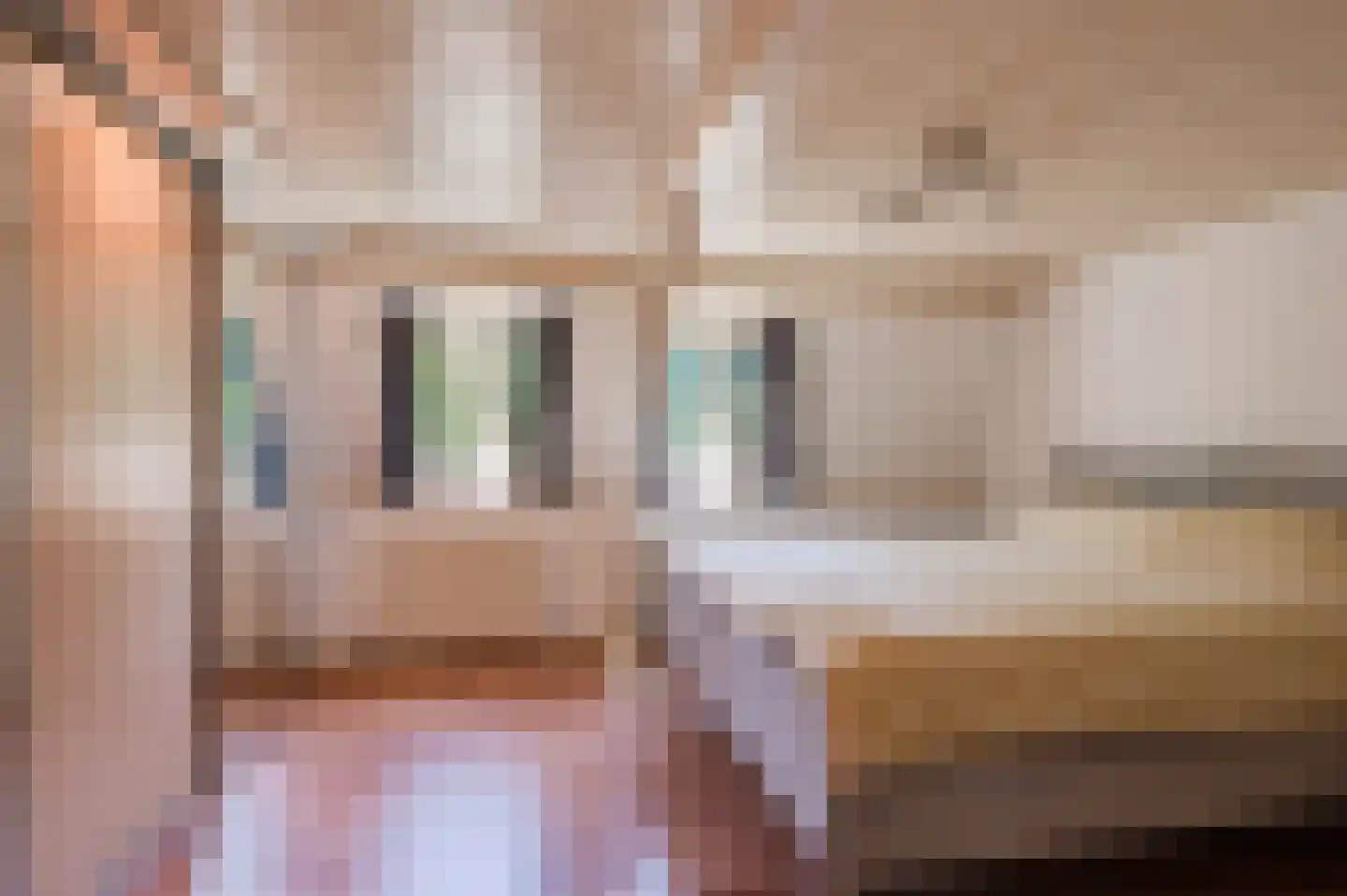 Singel 16 Wijk bij Duurstede thumbnail 25