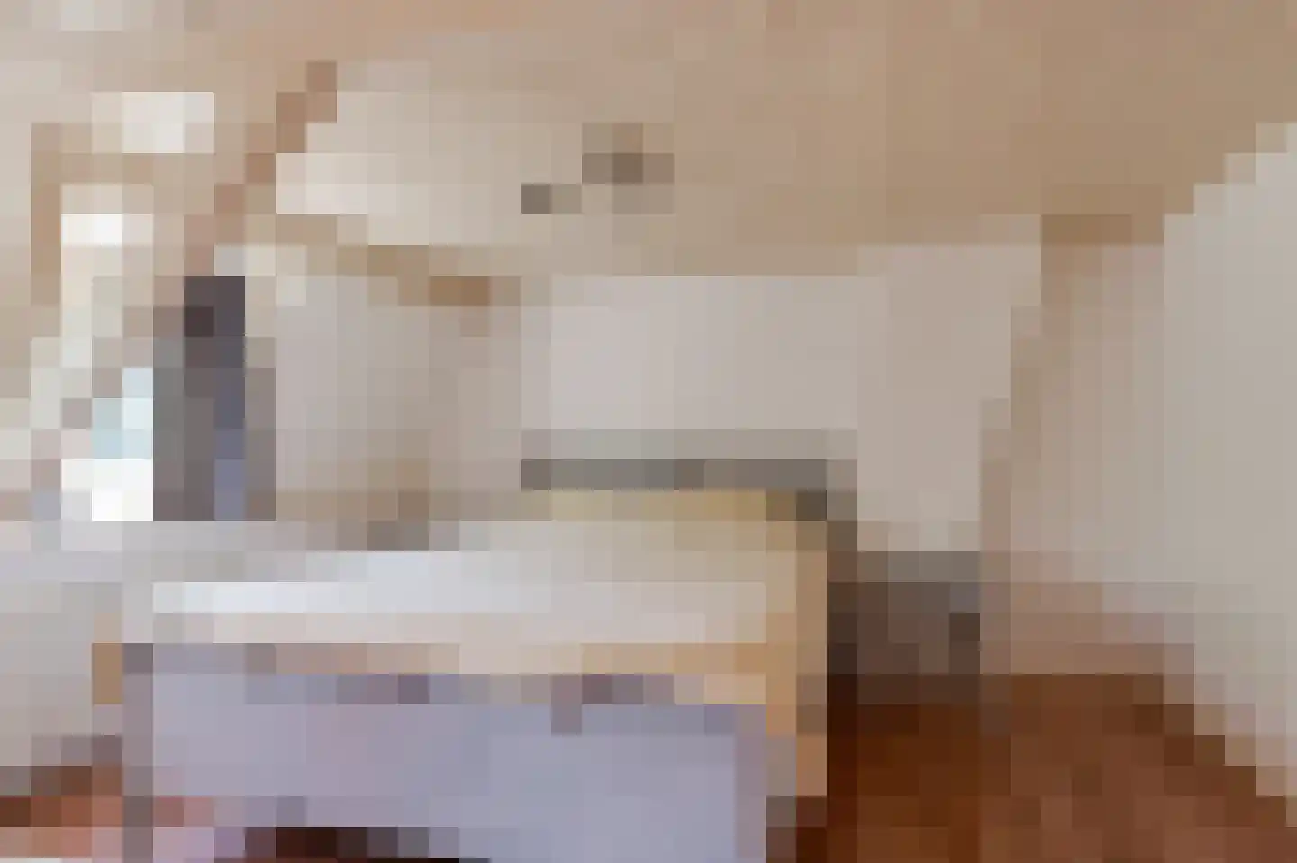 Singel 16 Wijk bij Duurstede thumbnail 26