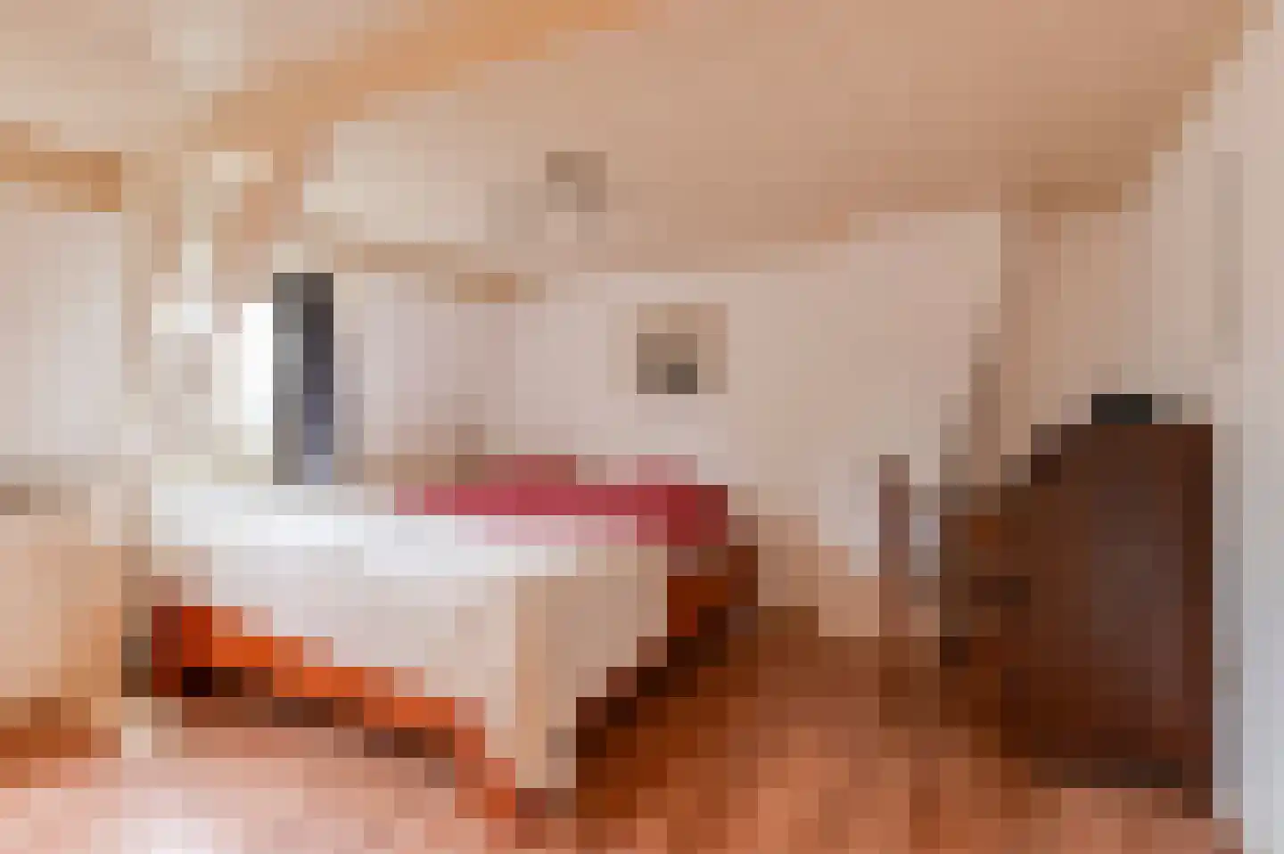 Singel 16 Wijk bij Duurstede thumbnail 30