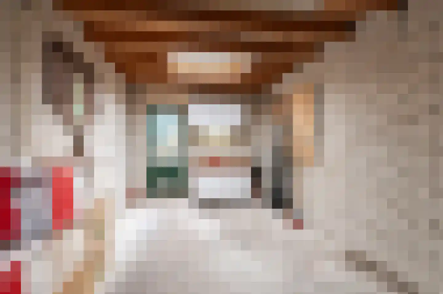 Singel 16 Wijk bij Duurstede thumbnail 34