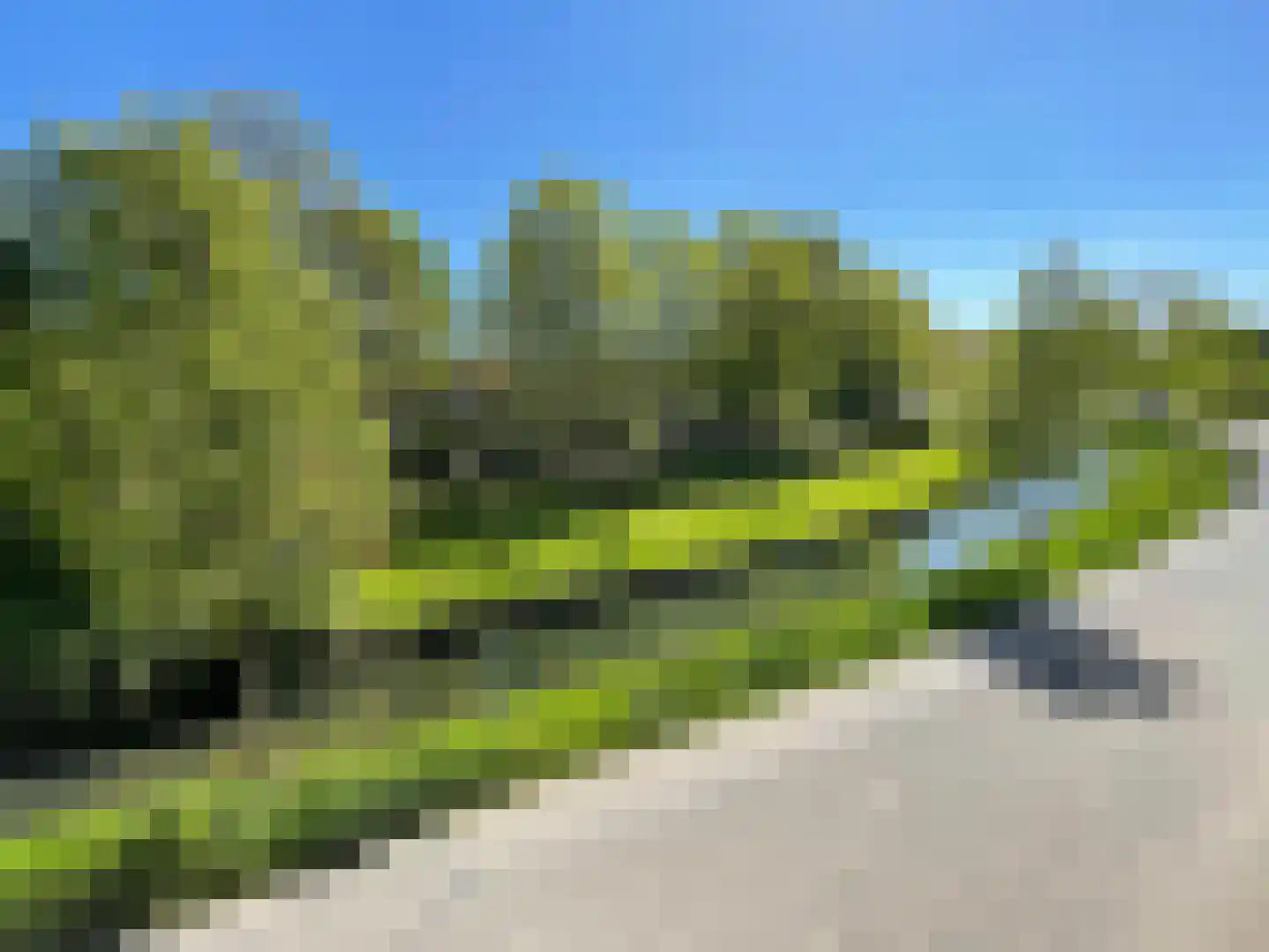 Singel 16 Wijk bij Duurstede thumbnail 36
