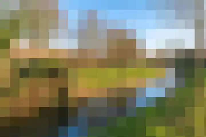 Singel 16 Wijk bij Duurstede thumbnail 37