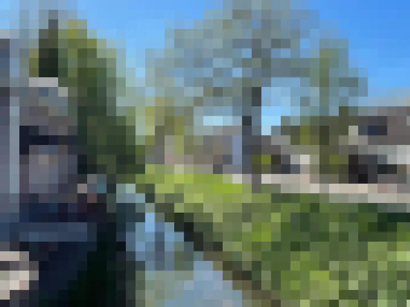 Singel 16 Wijk bij Duurstede thumbnail 4