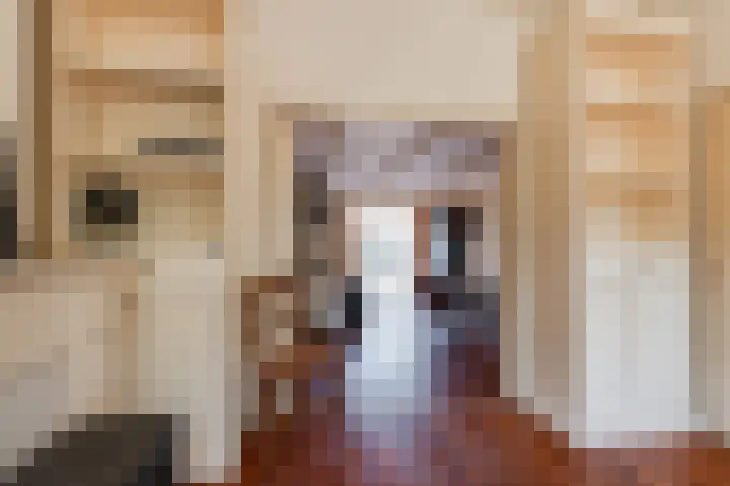 Singel 16 Wijk bij Duurstede thumbnail 7