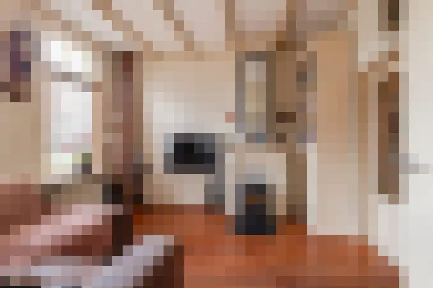 Singel 16 Wijk bij Duurstede thumbnail 8