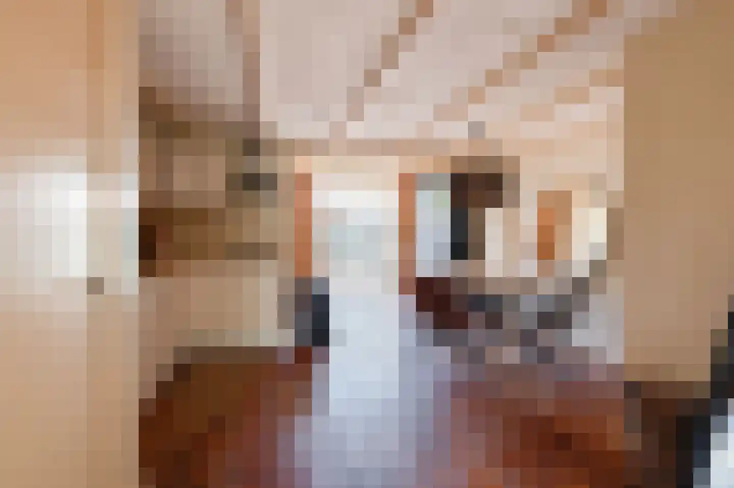 Singel 16 Wijk bij Duurstede thumbnail 8