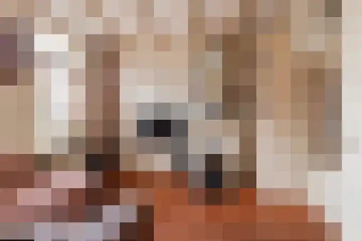 Singel 16 Wijk bij Duurstede thumbnail 8