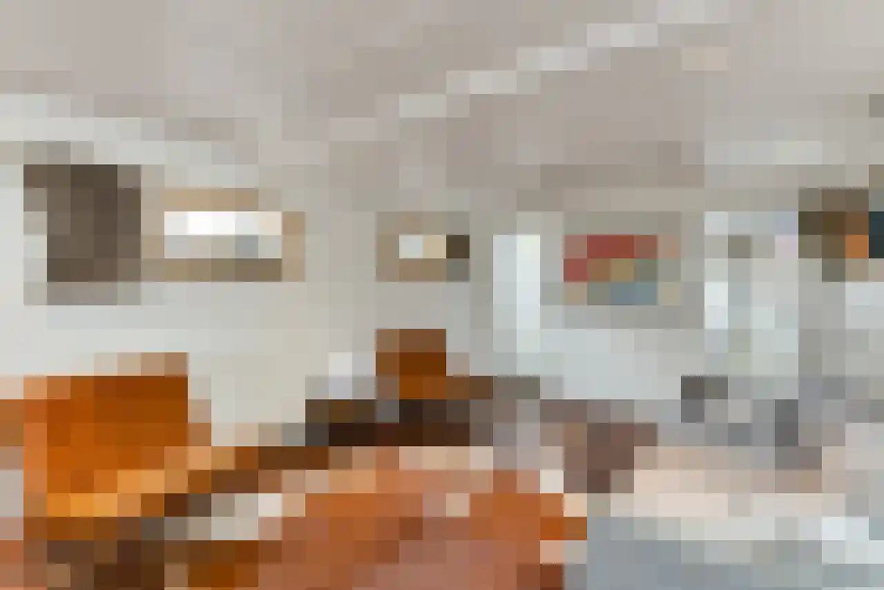 Singel 17 K Amsterdam thumbnail 10