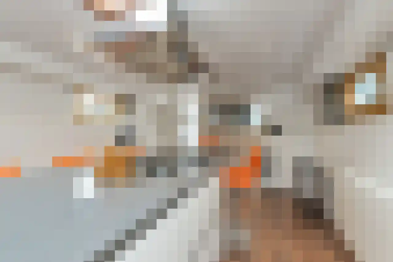 Singel 17 K Amsterdam thumbnail 13