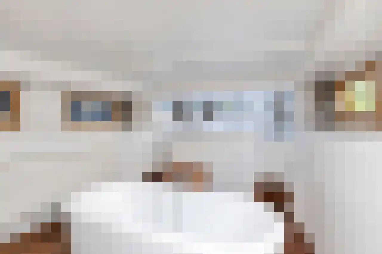 Singel 17 K Amsterdam thumbnail 18