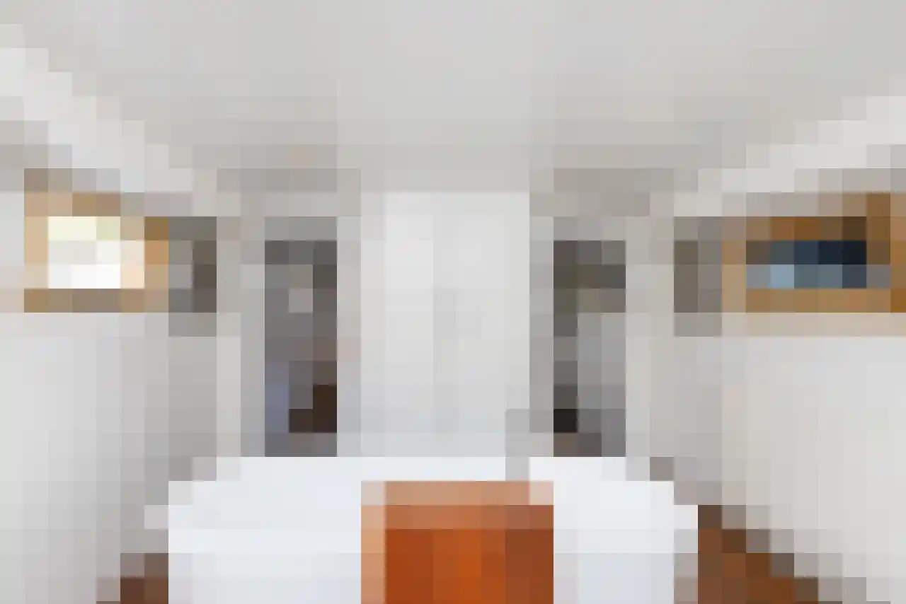 Singel 17 K Amsterdam thumbnail 20