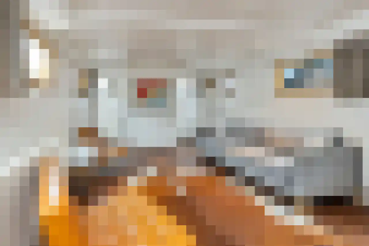Singel 17 K Amsterdam thumbnail 7