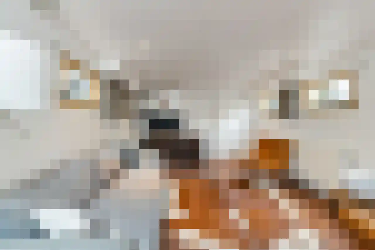 Singel 17 K Amsterdam thumbnail 9