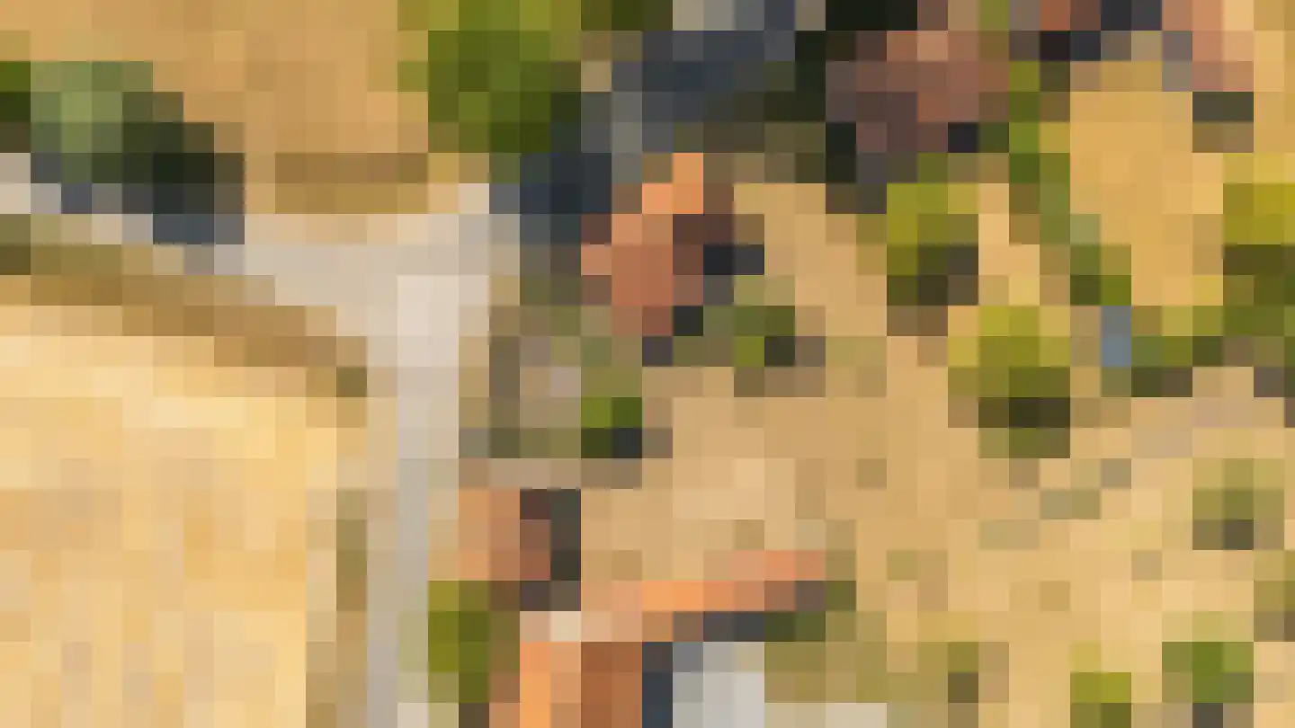 Singel 17 Sluis thumbnail 14
