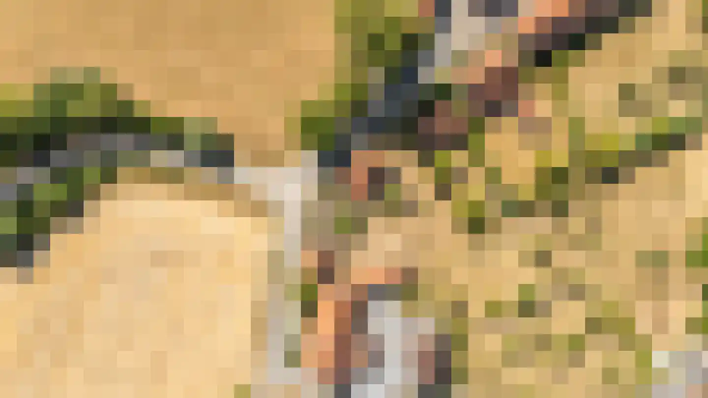 Singel 17 Sluis thumbnail 15