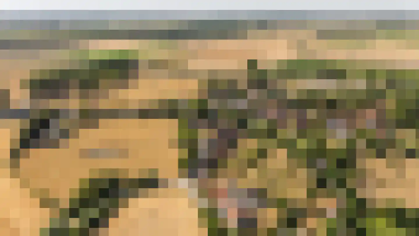 Singel 17 Sluis thumbnail 17