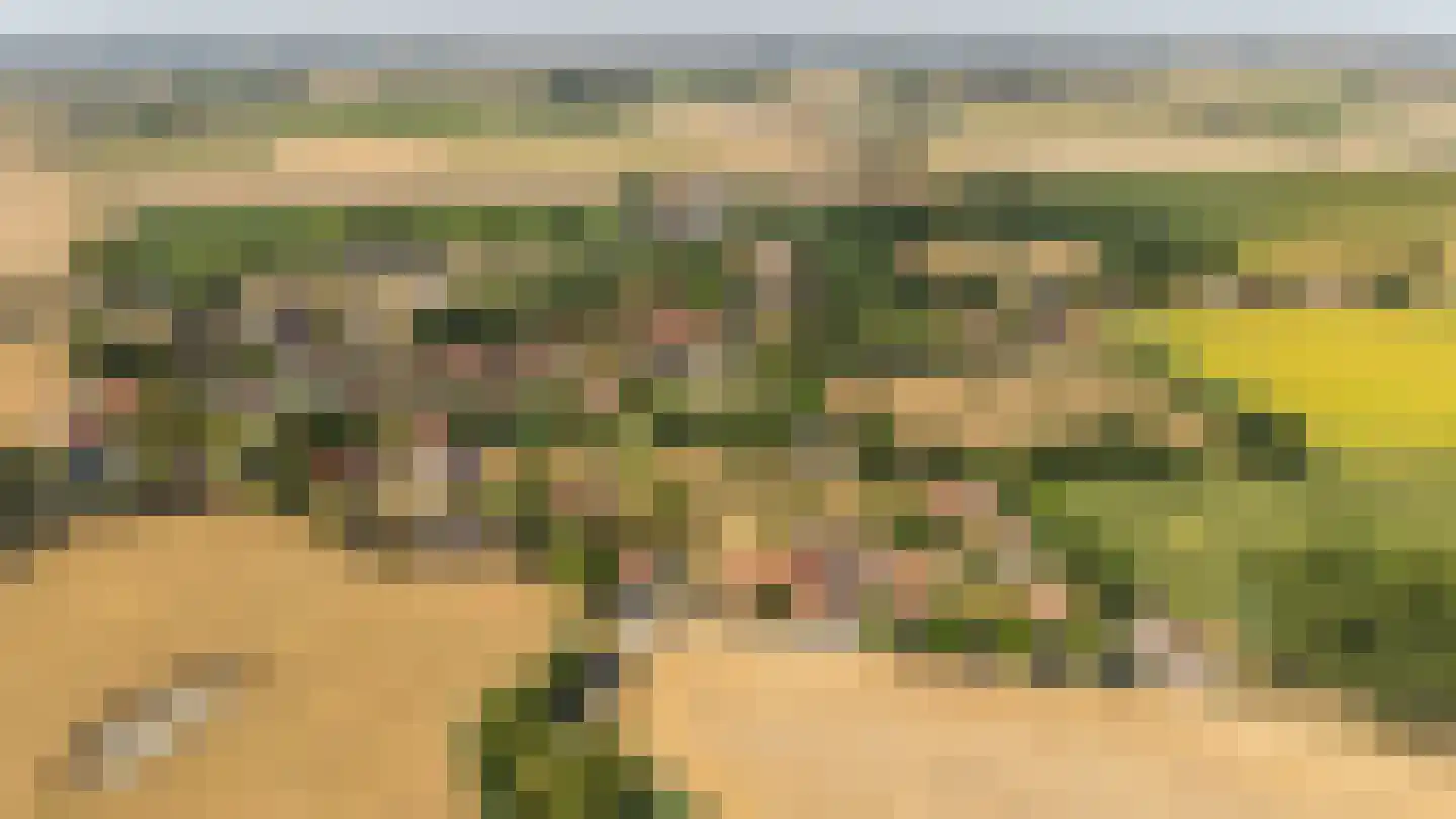 Singel 17 Sluis thumbnail 18