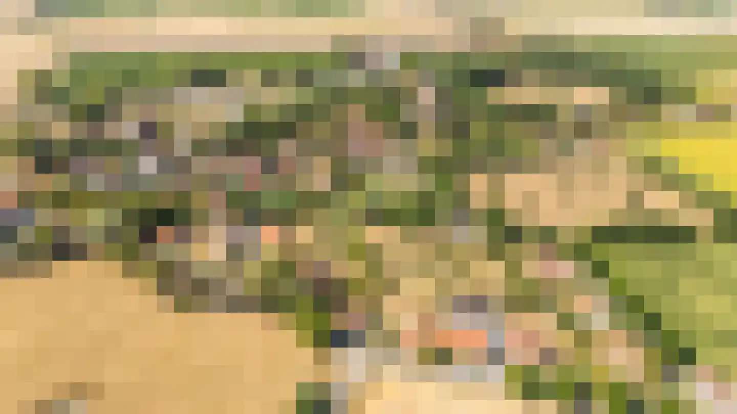 Singel 17 Sluis thumbnail 20