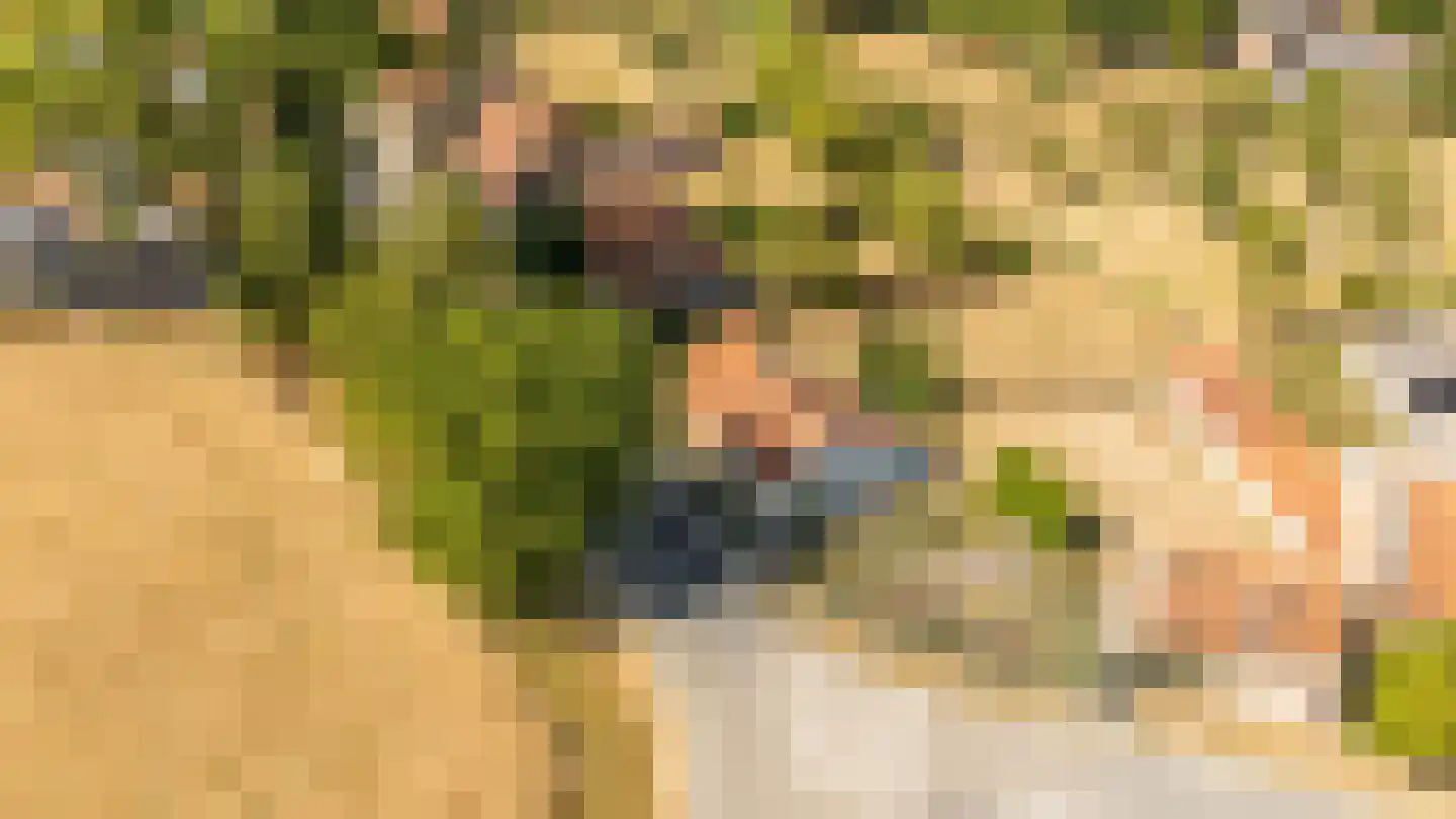 Singel 17 Sluis thumbnail 21