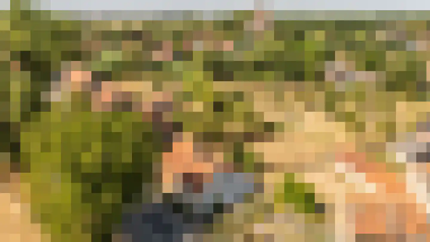 Singel 17 Sluis thumbnail 22