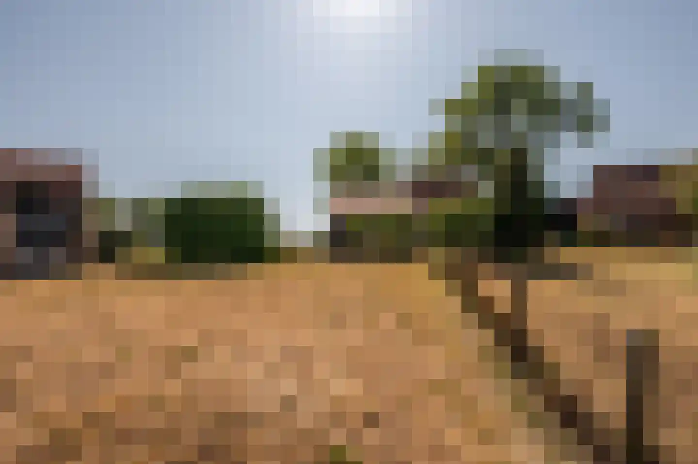 Singel 17 Sluis thumbnail 7