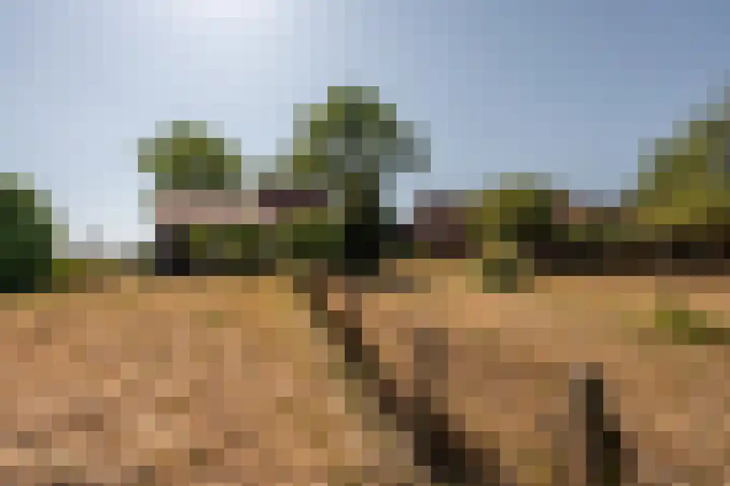 Singel 17 Sluis thumbnail 9