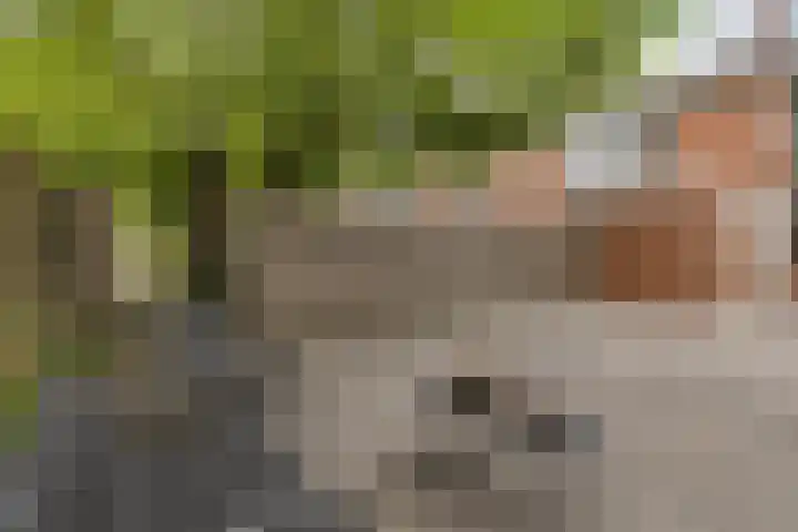 Singel 17 Stedum thumbnail 11