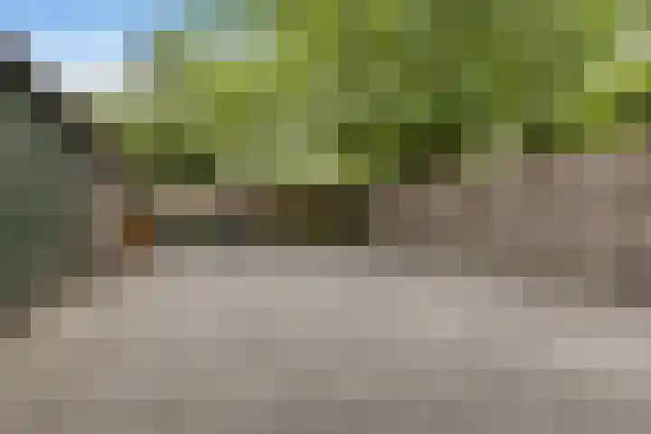Singel 17 Stedum thumbnail 13