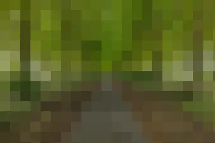 Singel 17 Stedum thumbnail 16
