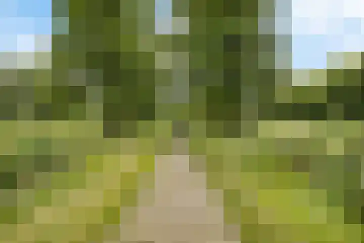 Singel 17 Stedum thumbnail 17