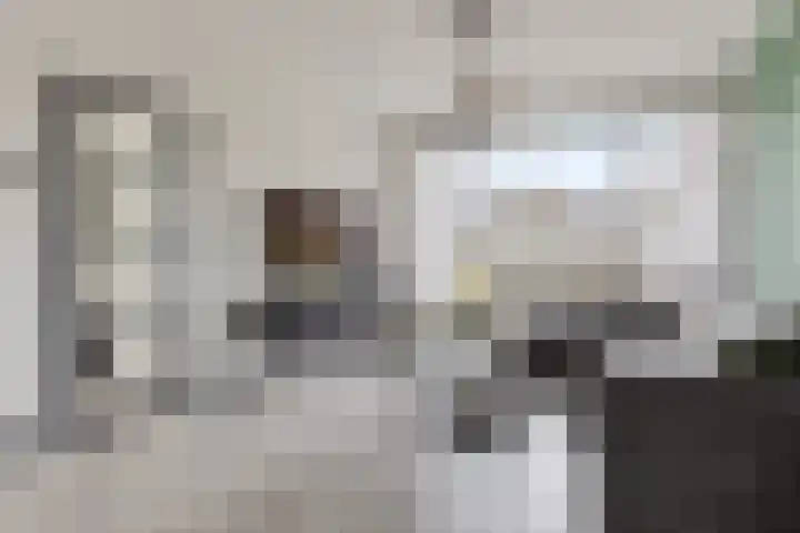 Singel 17 Stedum thumbnail 24