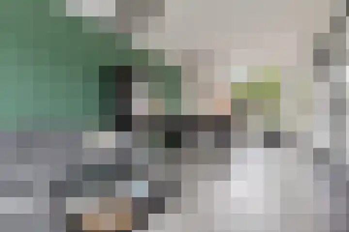 Singel 17 Stedum thumbnail 25
