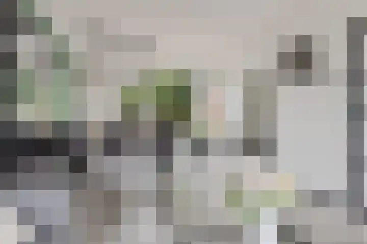 Singel 17 Stedum thumbnail 26