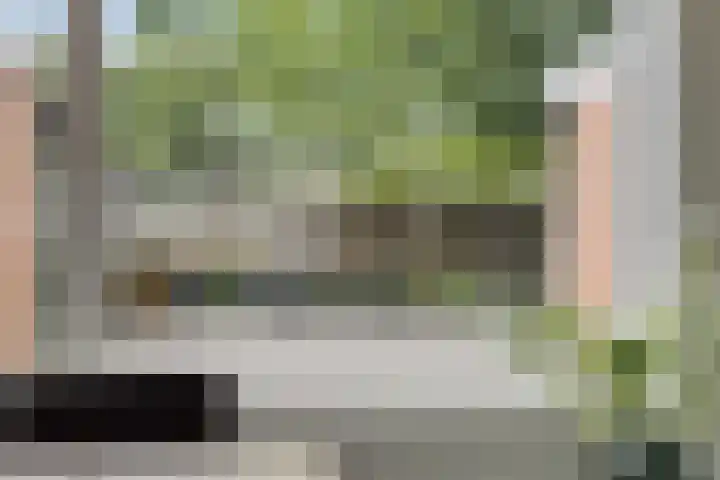 Singel 17 Stedum thumbnail 27