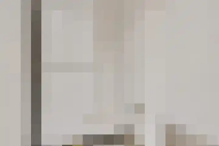 Singel 17 Stedum thumbnail 33