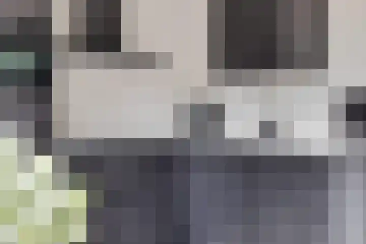 Singel 17 Stedum thumbnail 4