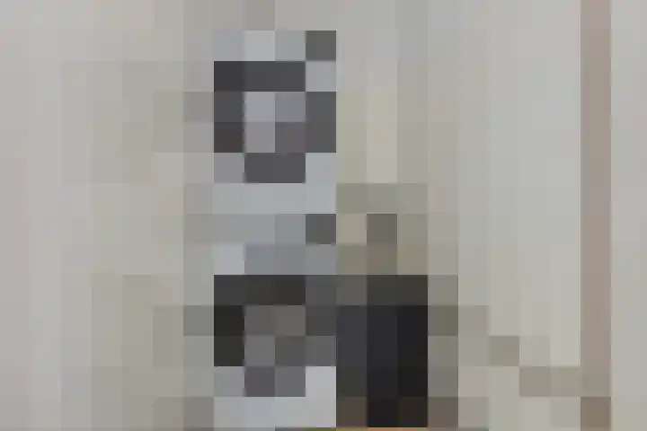 Singel 17 Stedum thumbnail 47