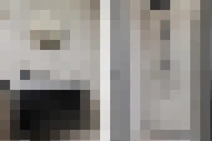 Singel 17 Stedum thumbnail 5