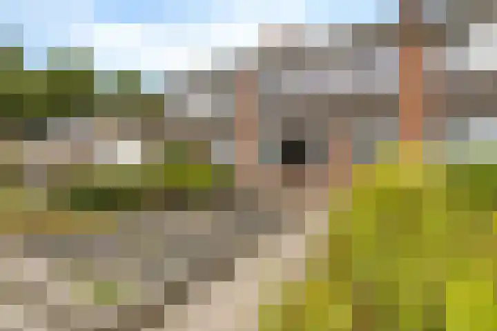 Singel 17 Stedum thumbnail 52