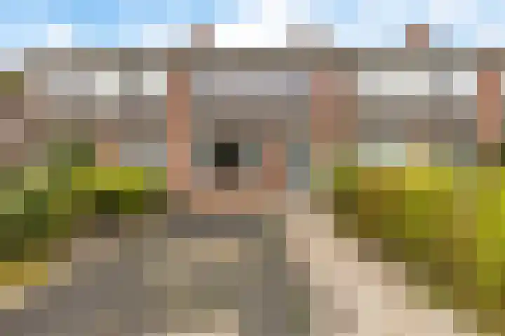 Singel 17 Stedum thumbnail 7