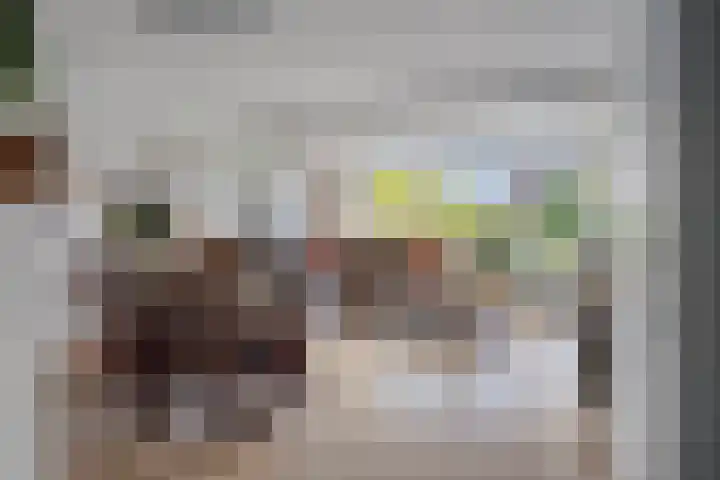 Singel 17 Stompetoren thumbnail 11