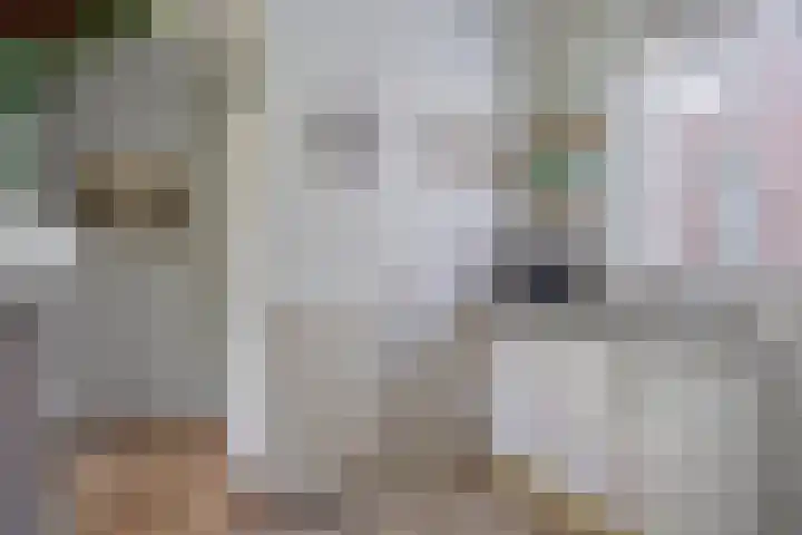Singel 17 Stompetoren thumbnail 18