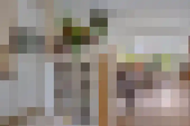 Singel 17 Stompetoren thumbnail 19