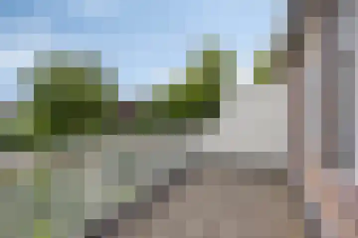Singel 17 Stompetoren thumbnail 23