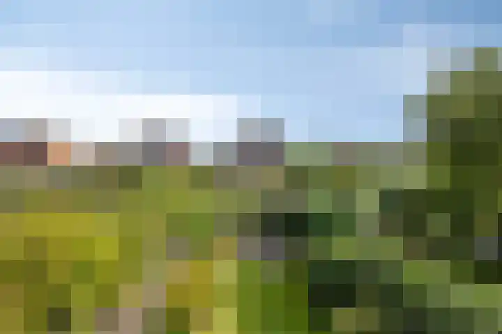 Singel 17 Stompetoren thumbnail 24